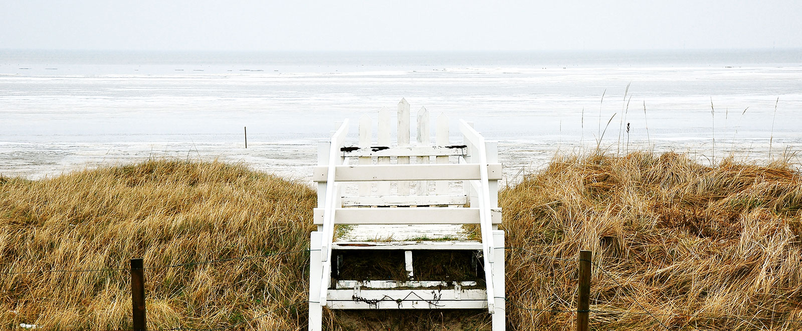 云呼死你网页版