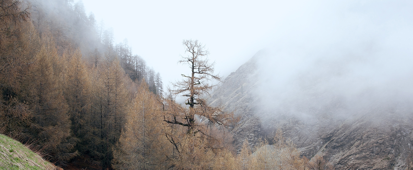 炸你妹在线轰炸